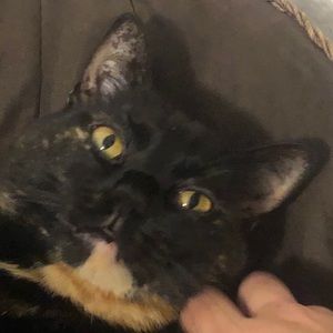 Meet your Posher, Alan